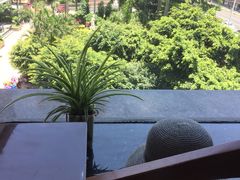 -泰谷酒店·太古码头闽菜自助餐厅