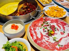 -青瓷火锅料理(西单大悦城店)