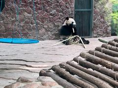 -黔灵山公园