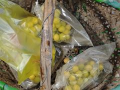 -马陆小张葡萄园农家乐