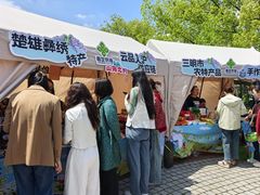 -嘉定紫藤园