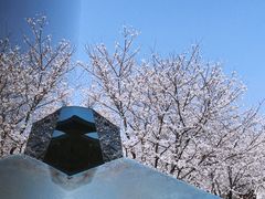 -龙美术馆西岸馆-停车场