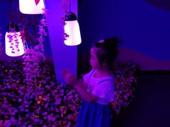 -济南方特东方神画