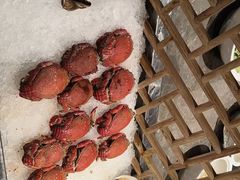 -太湖饭店玉兰厅(自助餐厅)