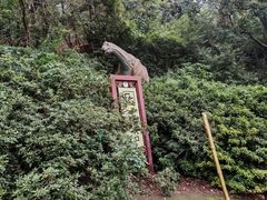 -木兰云雾山