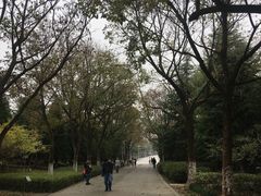 -白塘生态植物园