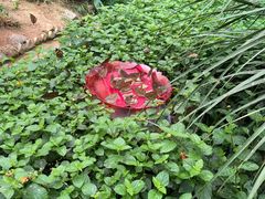 -蝴蝶泉公园