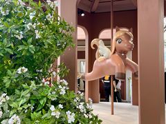 -深圳湾万象城(南山店)