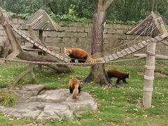 -上海野生动物园