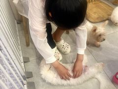-柴犬小屋·柴餐厅·狗咖食堂(金鼎广场店)