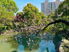 -南汇桃花村