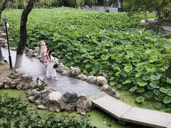 -莲湖公园