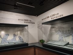 -岳阳市博物馆