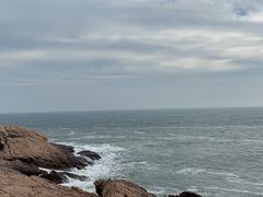 -广东惠东海龟国家级自然保护区