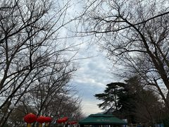 -鸡鸣寺