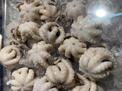 白灼章鱼-铭聚章鱼土笋冻(松柏店)