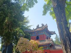 -洛阳白马寺