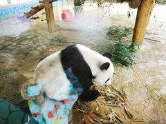 -西霞口神雕山野生动物世界