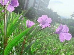 -威高广场