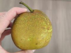 -鲜丰水果(丰盛九玺店)