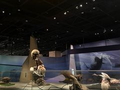 -武汉园博园(武汉自然博物馆)