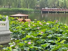 -西海子公园