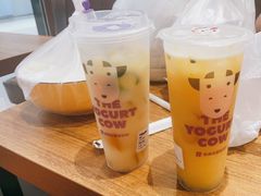 -一只酸奶牛(成都sm广场店)