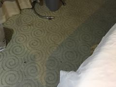 -柏斯顿酒店