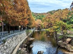 -洛阳白云山景区