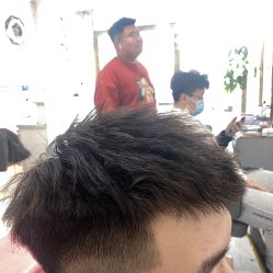 点击看大图 -茗梵谷造型
