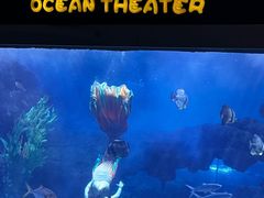 -郑州海洋馆