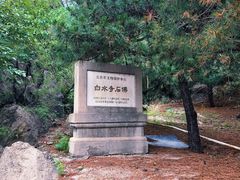 -白水寺森林公园