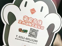 -萌宠奇缘