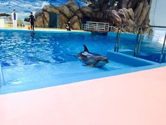 -福州罗源湾海洋世界旅游区