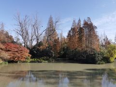 -上海滨江森林公园