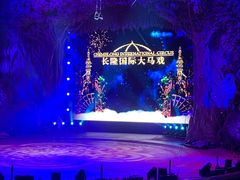 -广州长隆国际大马戏