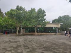 -上海滨江森林公园·停车场