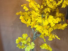 -满纷轰趴·生日聚会·公司团建·城市系列(前海店)