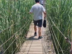 -河北村民俗体验园