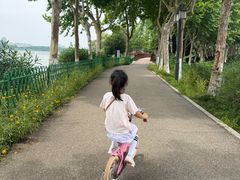-金银湖国家城市湿地公园