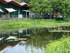 -西湖风景区-江洋畈生态公园