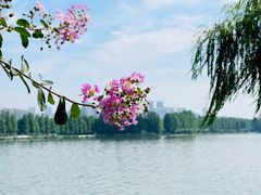 -东湖磨山景区
