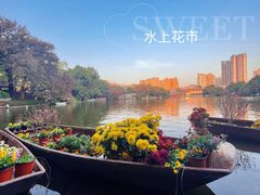 -荔湾湖公园