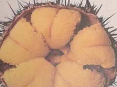 -常鲜楼常来尝鲜海胆馆(星海店)