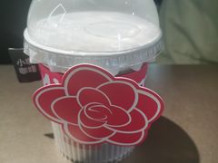 -鹏欣水游城