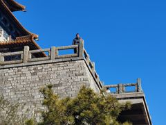 -解放阁