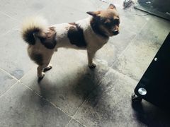 -长兴菜馆(高桥店)