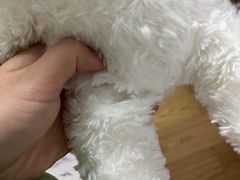 -汤姆熊欢乐世界(莘庄龙之梦店)