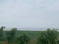 -卧龙湖