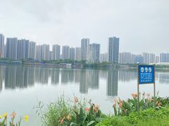 -飞来湖湿地公园
